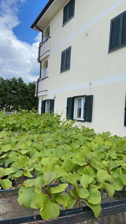 Vila Luca Island Krk / Malinska Bagian luar foto